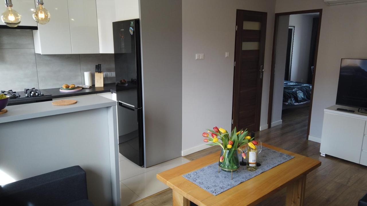 Apartament Bieszczady Leilighet Ustrzyki Dolne Eksteriør bilde
